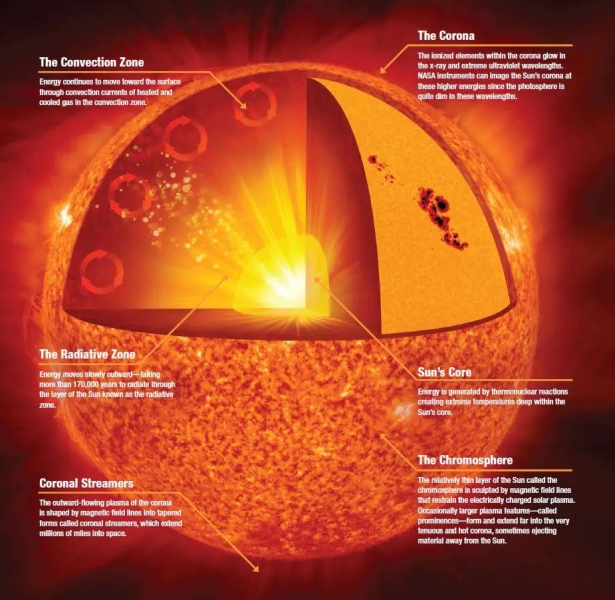 A diagram of the various layers of the sun, with a core in the center, surrounded by the radiative and convective zone, and the outer corona.