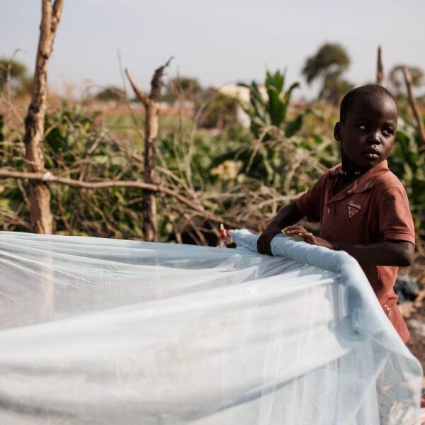 Mosquito nets save lives. So why is VC Marc Andreessen against them?