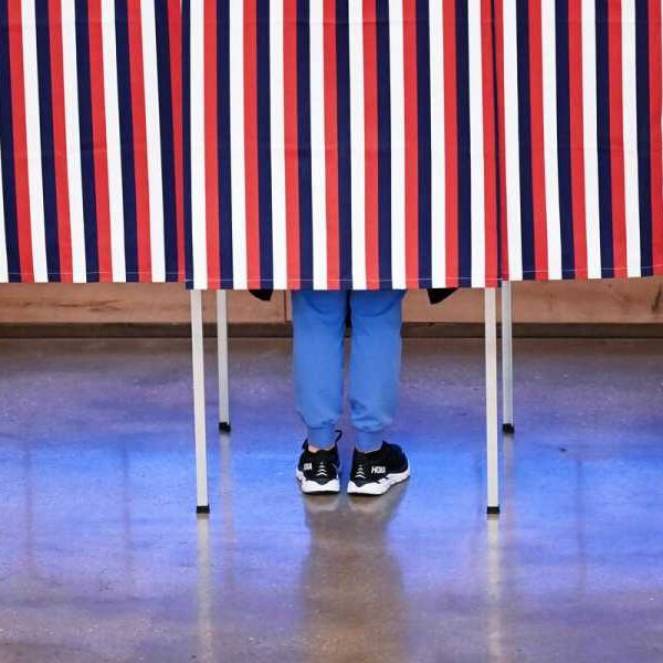 What does it mean to be a moderate voter in the 2024 election?