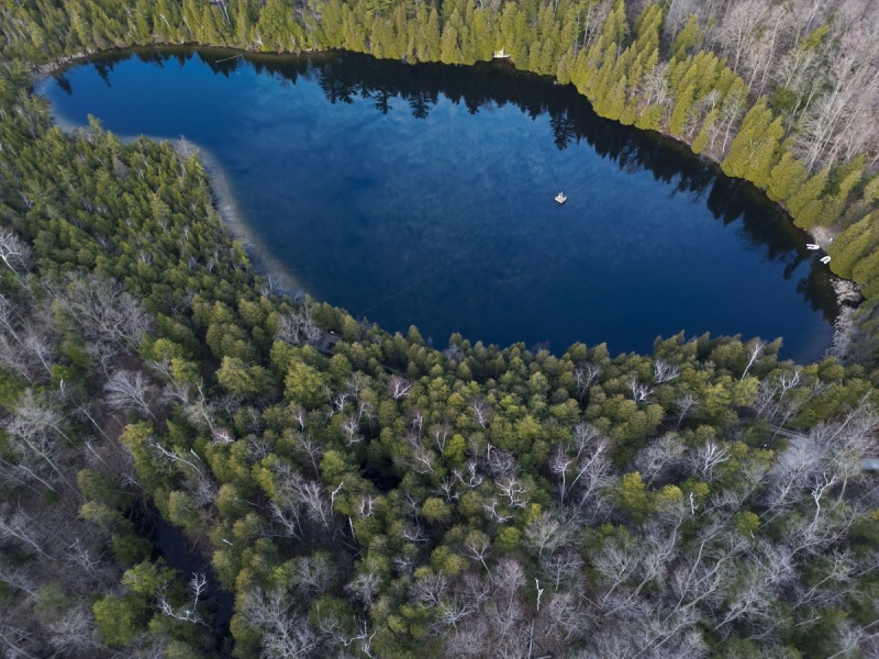 A lake surrounded by pine trees.