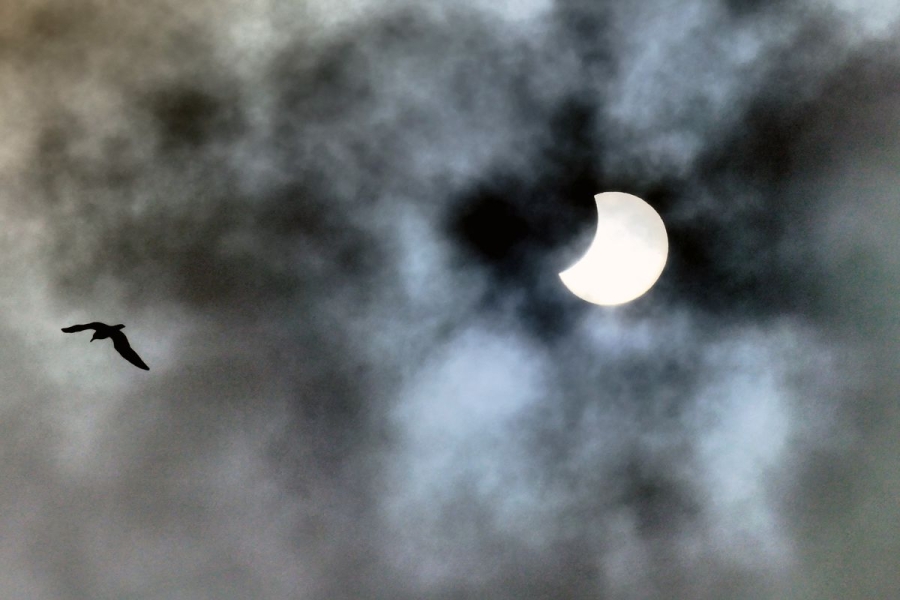 A bird flies in a dark and cloudy sky below the sun, which looks like a partial crescent due to the moon’s obstruction.