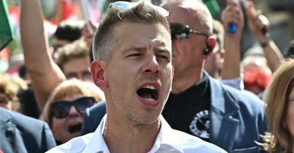 Viktor Orban’s new challenger to run for Euro elections in Hungary
