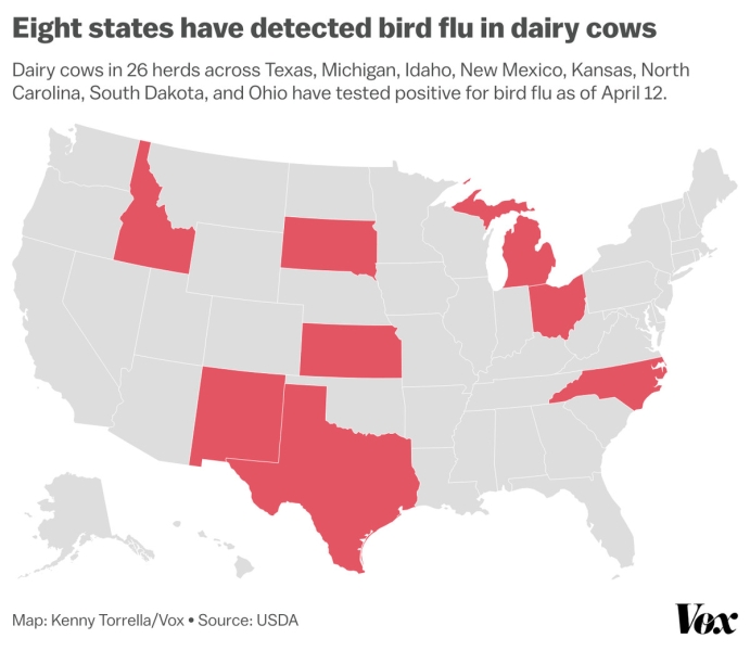 Map showing eight US states that have detected bird flu in dairy cows as of April 12: Texas, Michigan, Idaho, New Mexico, Kansas, North Carolina, South Dakota, and Ohio.