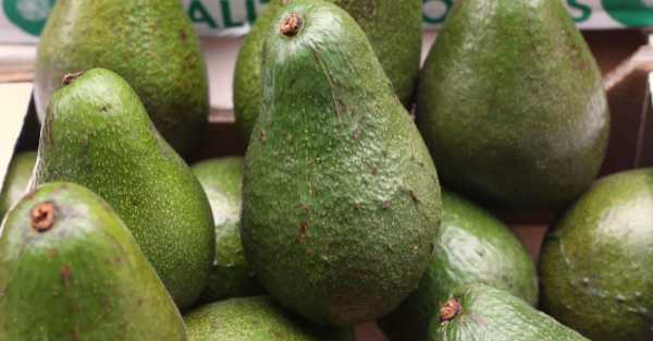 Guac-jackers steal 40 tonnes of avocados