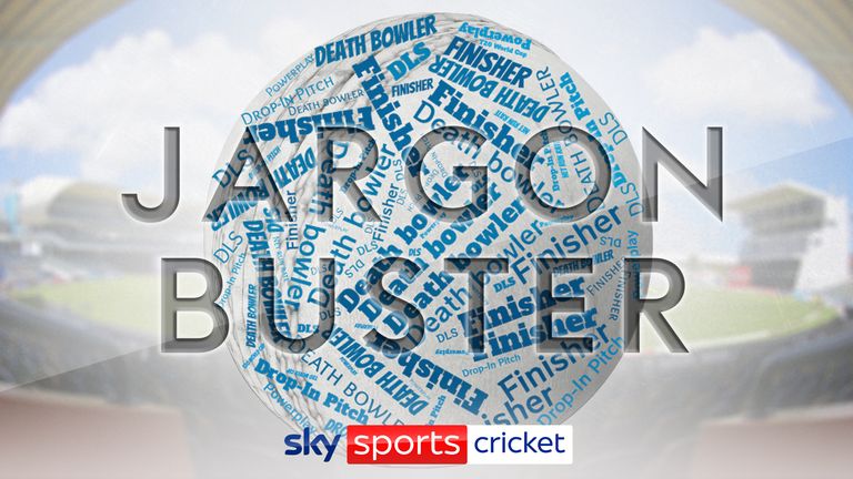T20 World Cup jargon buster: Learn about powerplays, finishers, drop-in pitches, DLS, DRS and more