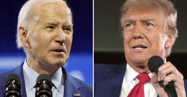 ‘Make my day, pal’: Biden challenges Trump to presidential debates