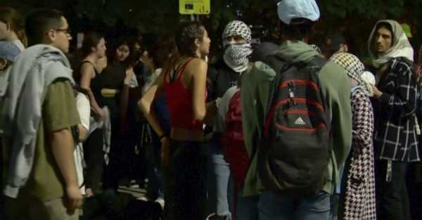 Dozens arrested as police clear pro-Palestinian encampment at US university