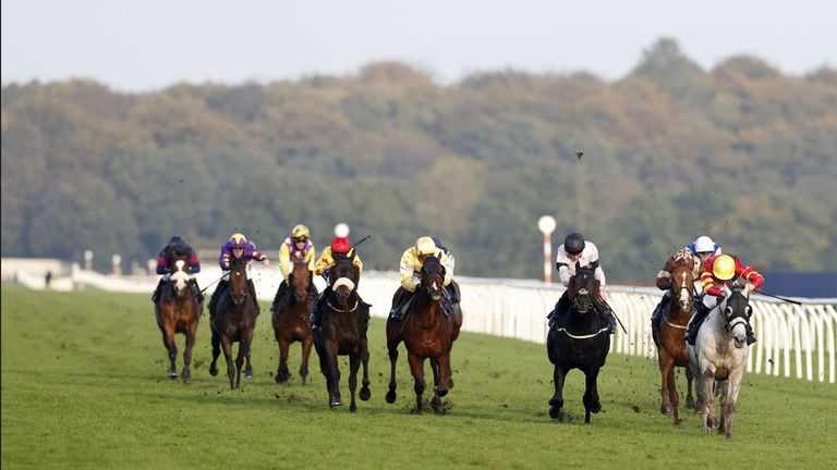 Today on Sky Sports Racing: Royal runner High Order contests feature handicap at Doncaster