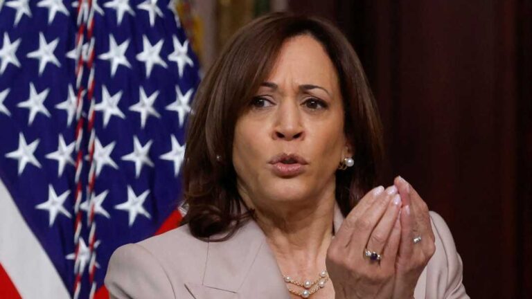 The Kamala Harris Social-Media Blitz Did Not Just Fall Out of a Coconut Tree