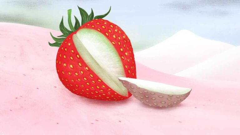 The Annual Disappointments of Strawberry Season