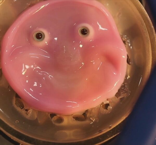 Video Japanese scientists make a robot face with living skin that can smile