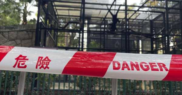 Hong Kong zoo probes deaths of nine monkeys in two days