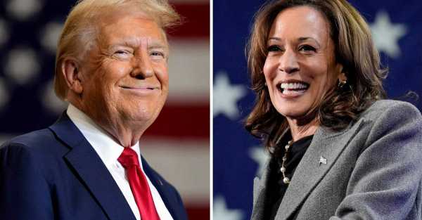 Harris vows to ‘represent all Americans’ after Biden’s Trump supporters remark