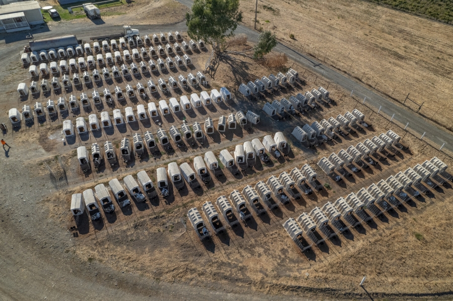 Aerial view of several rows of hutches used to individually house dairy calves.