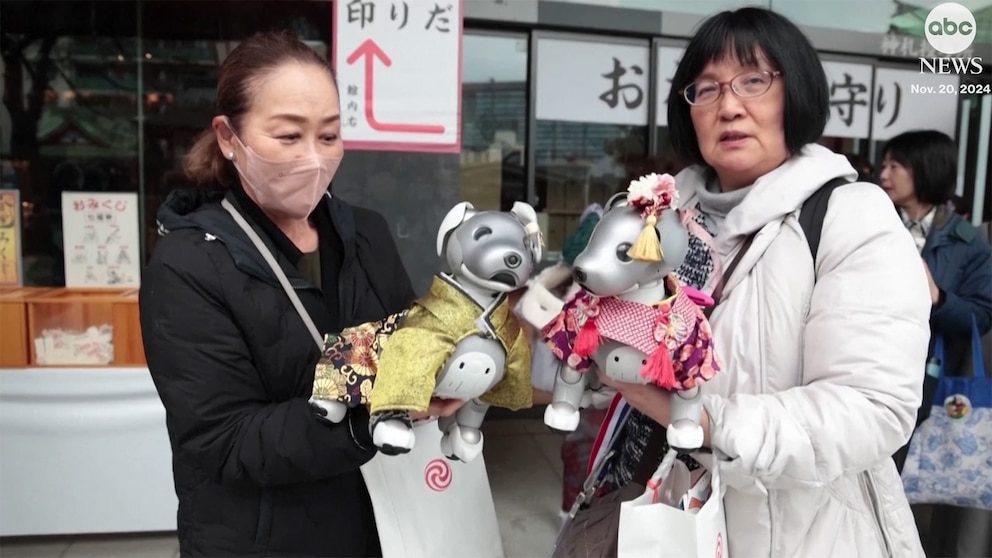 Video Robot dog owners take pets to be blessed in Japanese shrine