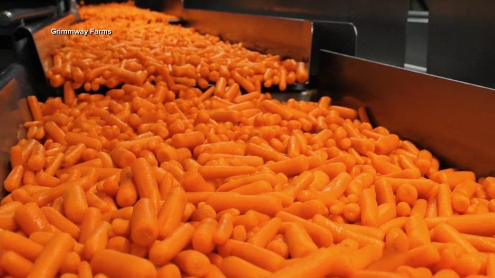 Video Deadly E. coli outbreak linked to carrots