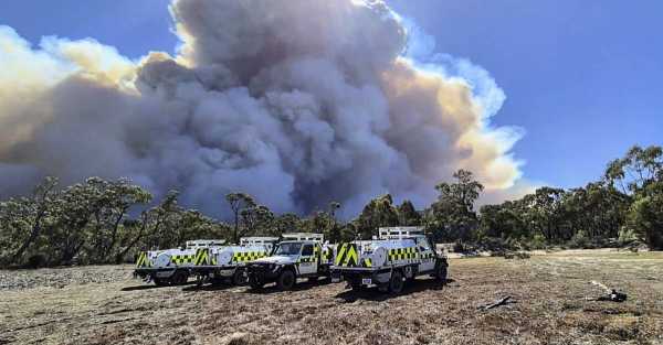 Heatwave sparks warning of potentially devastating wildfires in Australian state