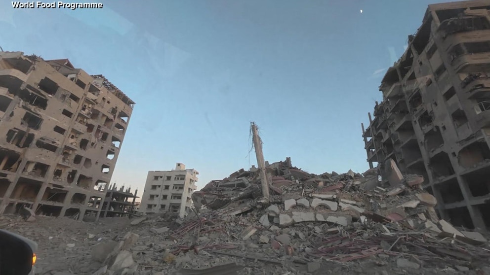 Video WFP official says ‘there’s no law or order’ in Gaza