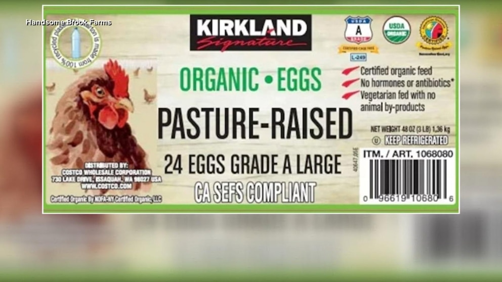 Video Salmonella found in egg products at Costco