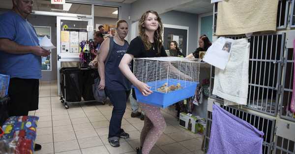 Thousands of chicks found abandoned in mail truck have been adopted