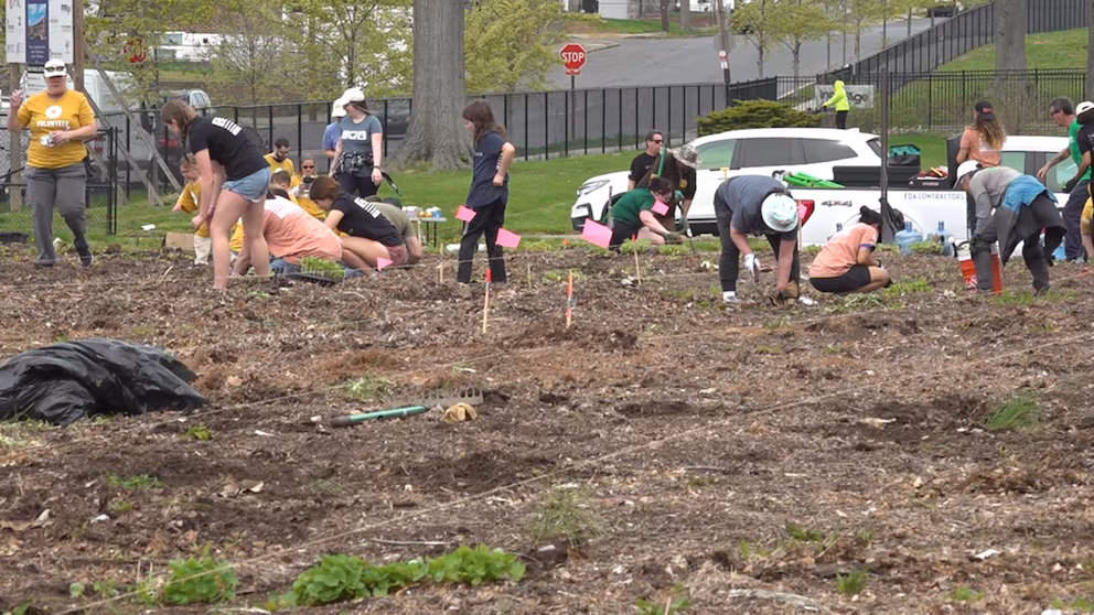Video: 'Healing Through Gardening': Organization Connects US Veterans With Nature