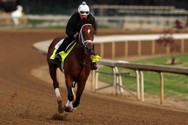 TAC Kentucky Derby Preview