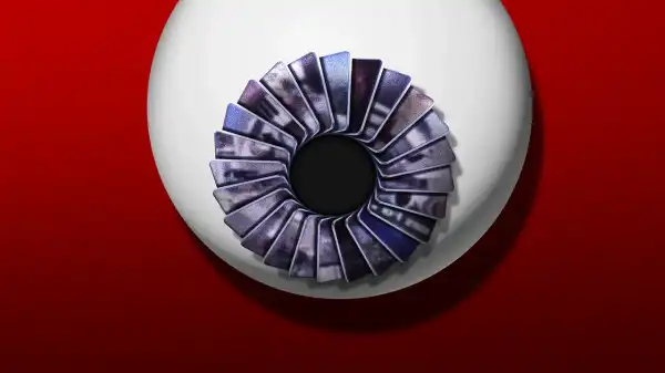 Perverted ways of seeing the “point of view”