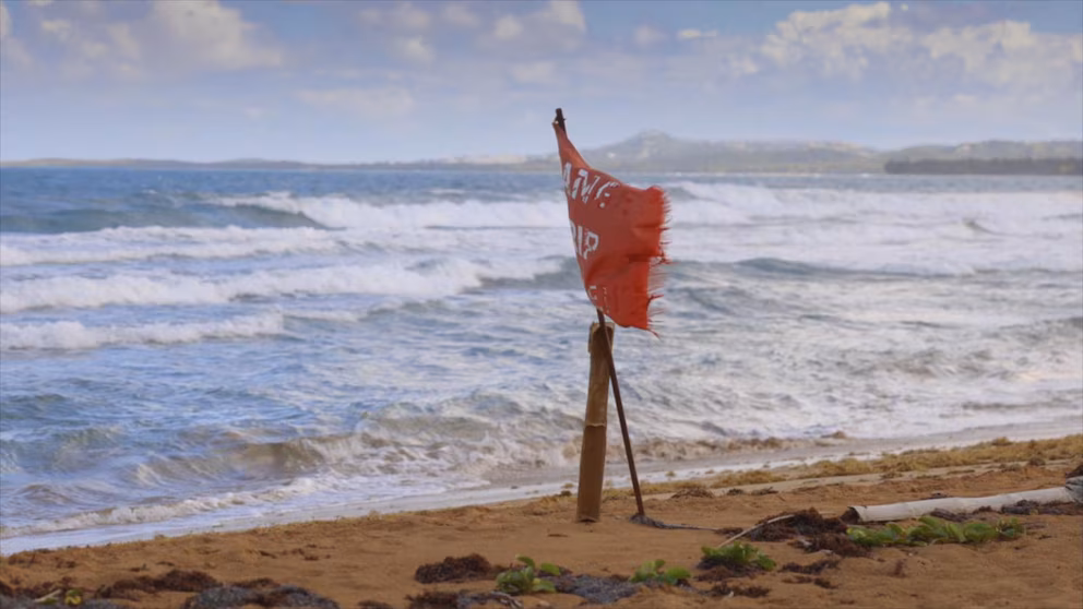 Video: Lifeguard shares tips on how to stay safe during rip currents
