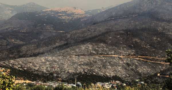 Two volunteer firefighters killed in wildfires in Turkey