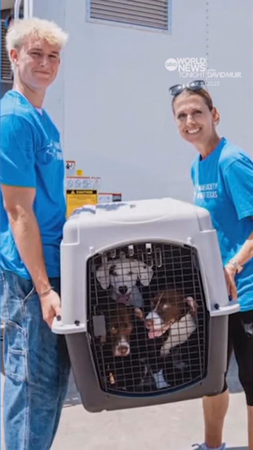 Video: Hundreds of cats and dogs saved during deadly Texas floods with help from volunteers