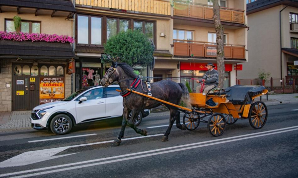 “Create a Robot Horse or a Robot Teddy Bear.” An Unusual Petition to the Mayor of Zakopane