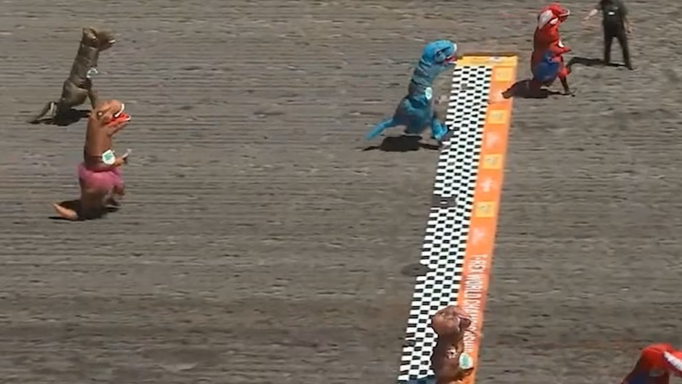 Video from the Tyrannosaurus World Championship races