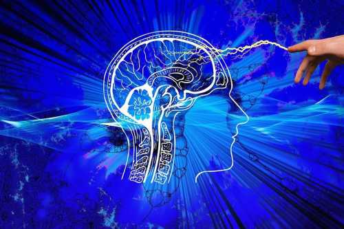 Physical exercises that will help “pump up” the brain