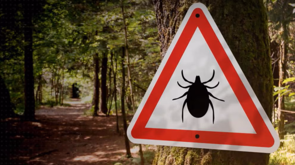 Video What Is Lyme Disease and what are the symptoms?