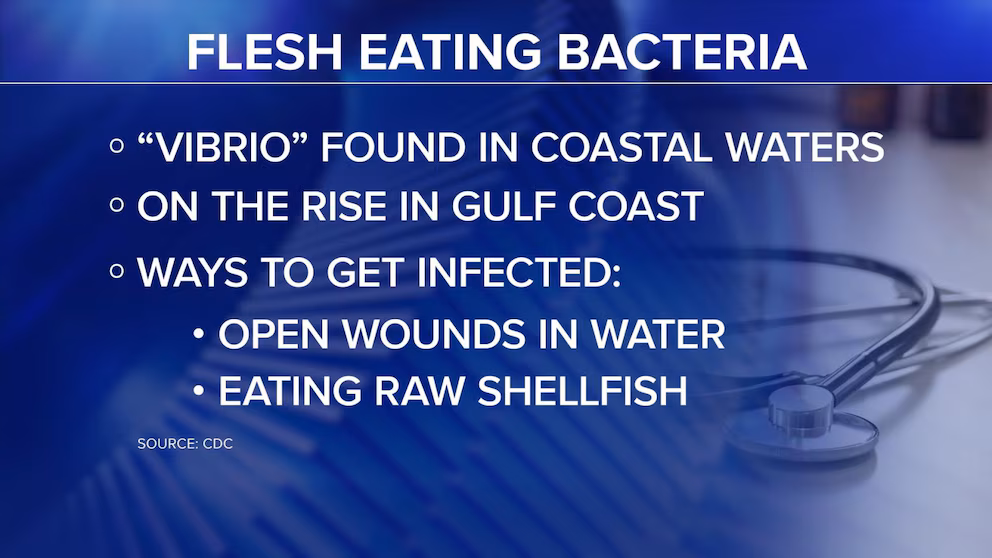 Video Rising rates of flesh-eating bacteria in Gulf Coast