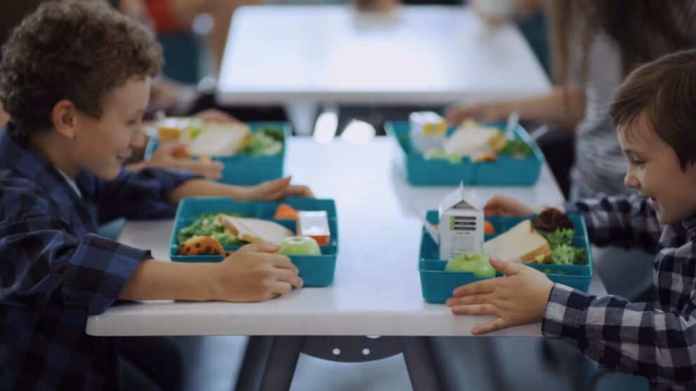 Video Nailing nutrition and routine as kids head back to school