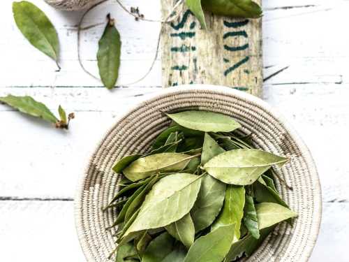 Your wallet will become money: how to properly activate a bay leaf for financial luck