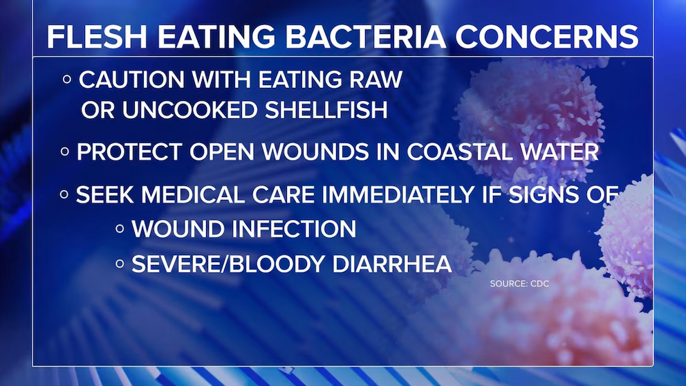 Video 2 more dead after eating Louisiana raw oysters infected with flesh-eating bacteria