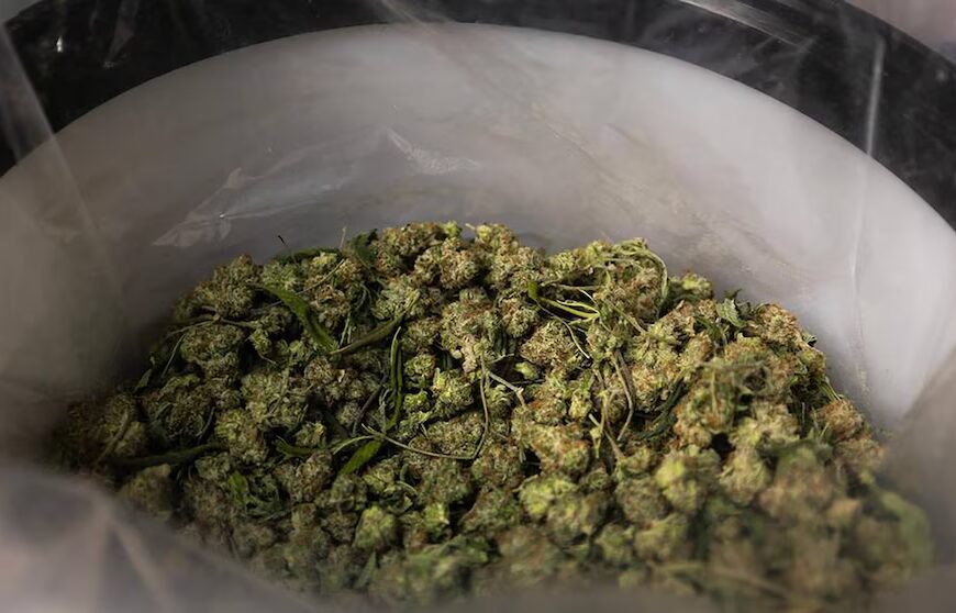 Trump says his administration looking at reclassifying marijuana