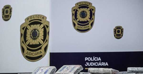 Portuguese police captain arrested after 1.5 tons of cocaine found hidden in animal skins