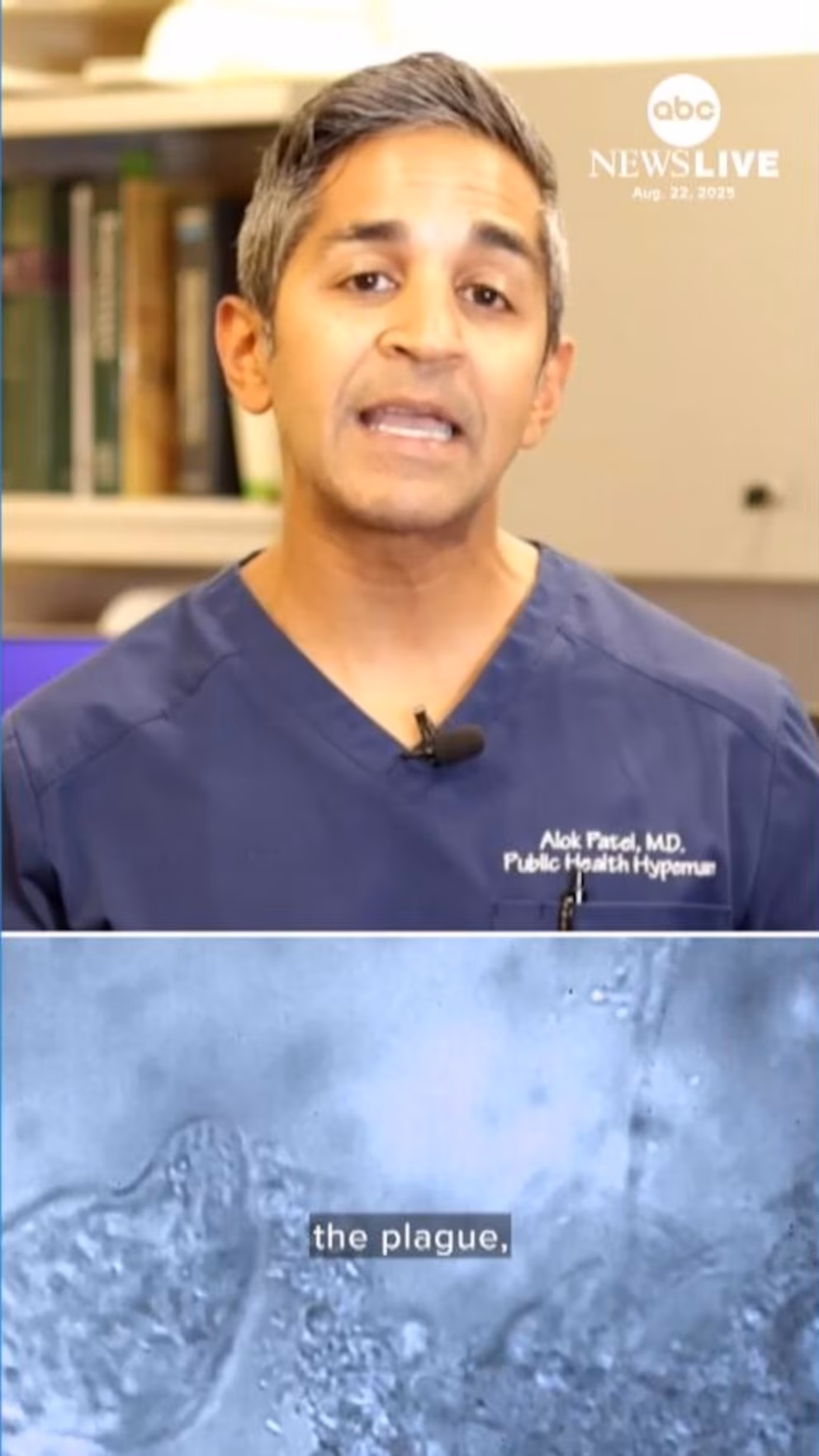 Video What to know about the plague