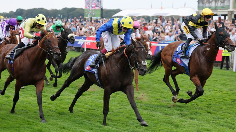 York Racing: Never So Brave continues rapid rise with Group 1 success at Knavsmayr