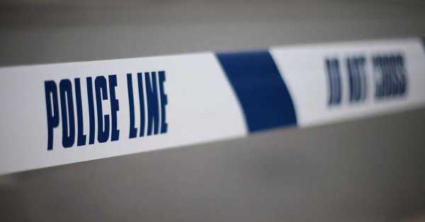 UK police investigate video of naked masked man walking streets at night