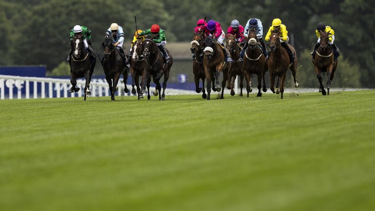 Today on Sky Sports Racing: The Shergar Cup at Ascot is in focus on Saturday, plus coverage from Lingfield.