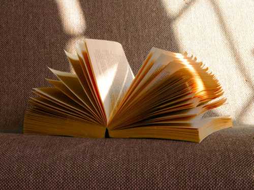 5 powerful books that can be read in one sitting