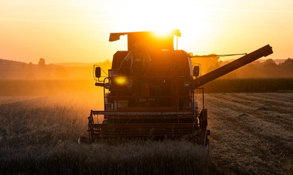 Latvia declares a state of emergency across the country. “Harvests completely destroyed.”