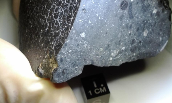 Niger suspends exports of gemstones and meteorites after auction of valuable find