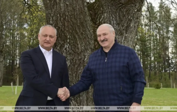 Belarusian media massively promote Dodon ahead of Moldovan elections — criticism of Sandu's government ahead of elections in the country — world news