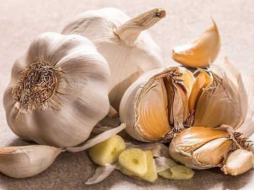Scientists Explain What Will Happen to Our Body if We Eat Garlic Every Day