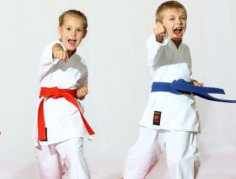 How to choose the “most effective” martial art? It depends on what and for whom…